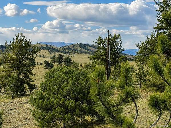 4 Acres of Residential Land for Sale in Hartsel, Colorado