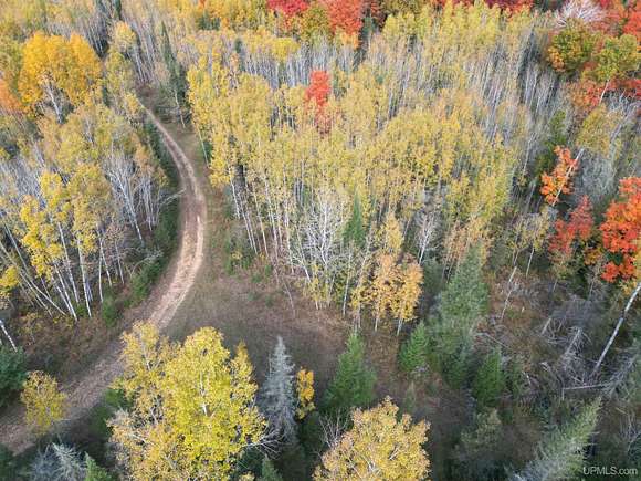 80 Acres of Recreational Land for Sale in Perronville, Michigan