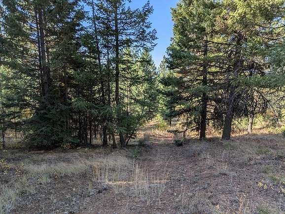 2.35 Acres of Land for Sale in McCall, Idaho