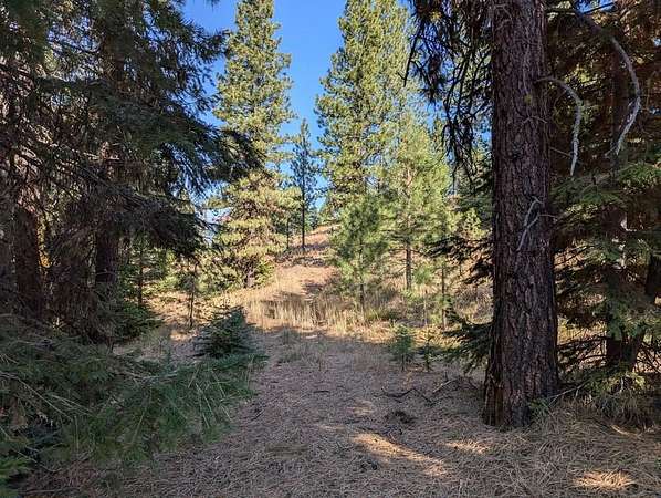 2.35 Acres of Residential Land for Sale in McCall, Idaho