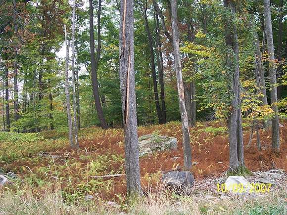 2.01 Acres of Residential Land for Sale in Canadensis, Pennsylvania