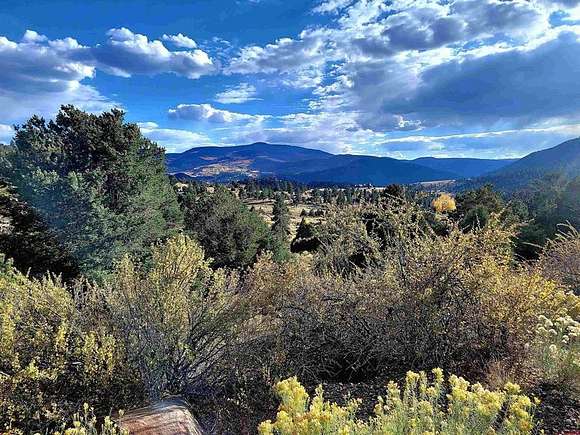 6.33 Acres of Residential Land for Sale in South Fork, Colorado