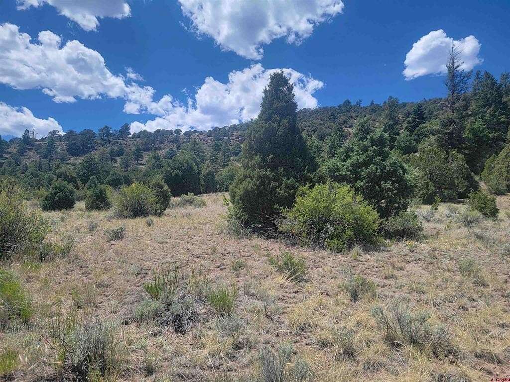 6.87 Acres of Land for Sale in South Fork, Colorado