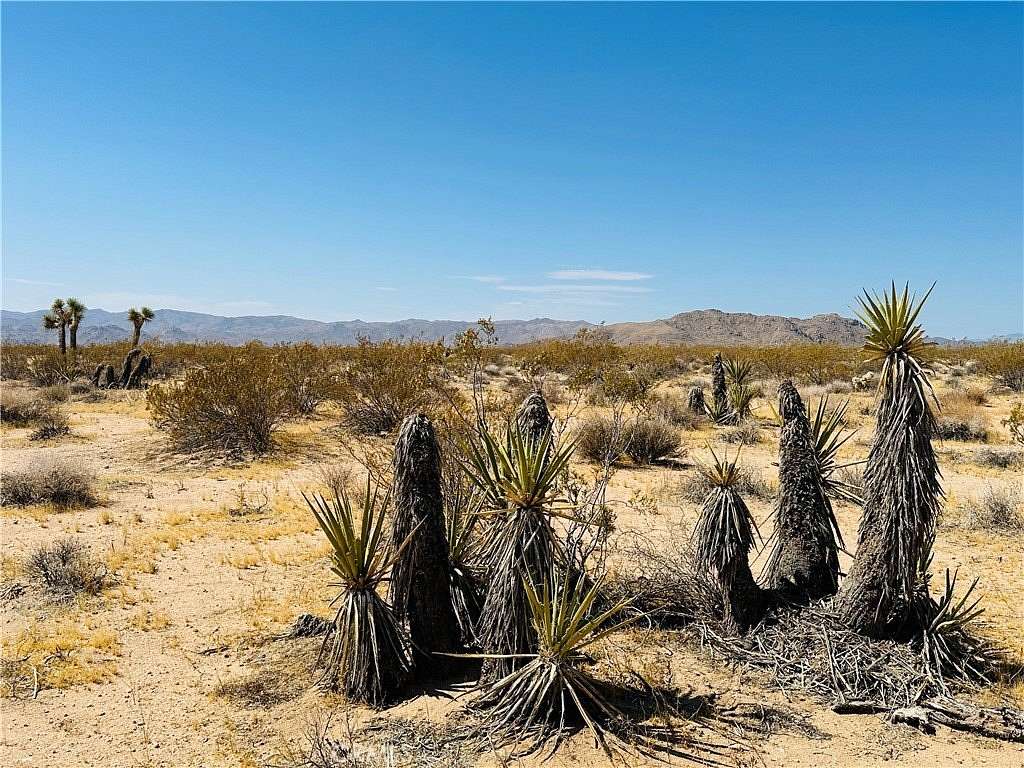 5 Acres of Land for Sale in Joshua Tree, California