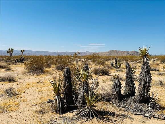 5 Acres of Land for Sale in Joshua Tree, California