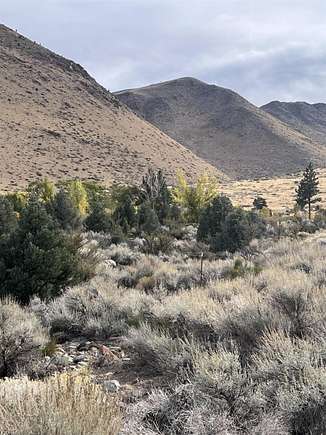 1.04 Acres of Land for Sale in Coleville, California