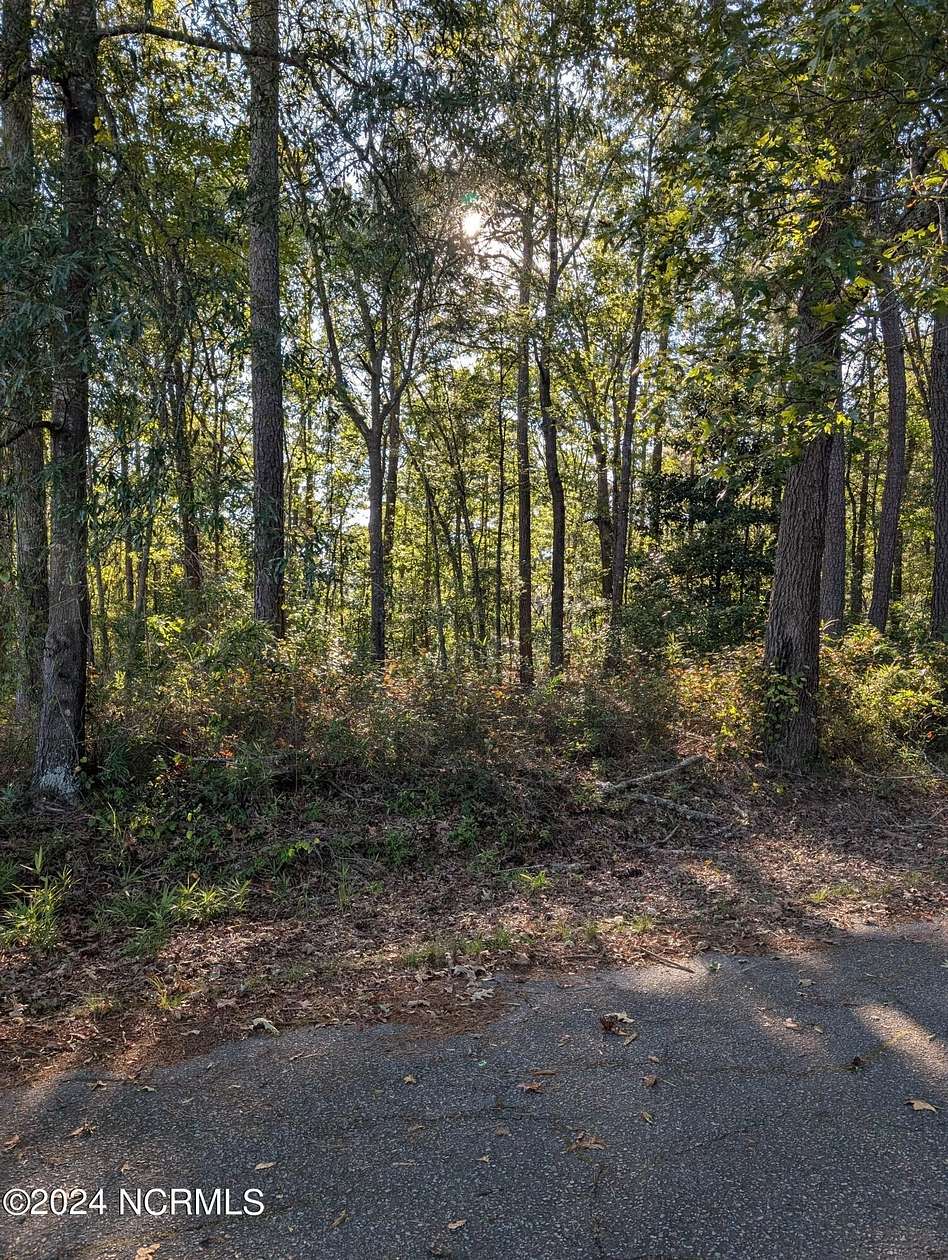 0.32 Acres of Residential Land for Sale in Robersonville, North Carolina