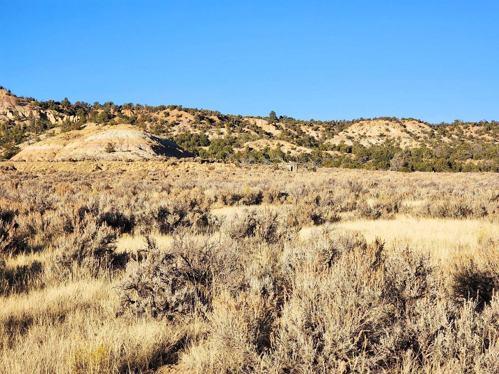 6 Acres of Residential Land for Sale in La Jara, New Mexico