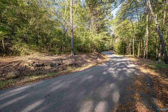 19.28 Acres of Land for Sale in Gadsden, Alabama