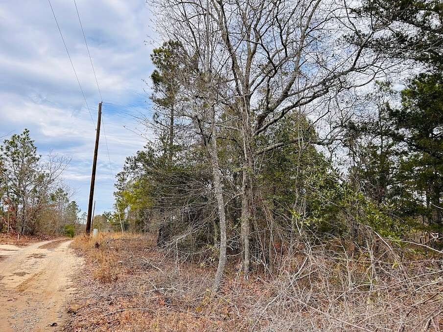 6.5 Acres of Residential Land for Sale in Butler, Georgia