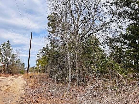 6.5 Acres of Residential Land for Sale in Butler, Georgia