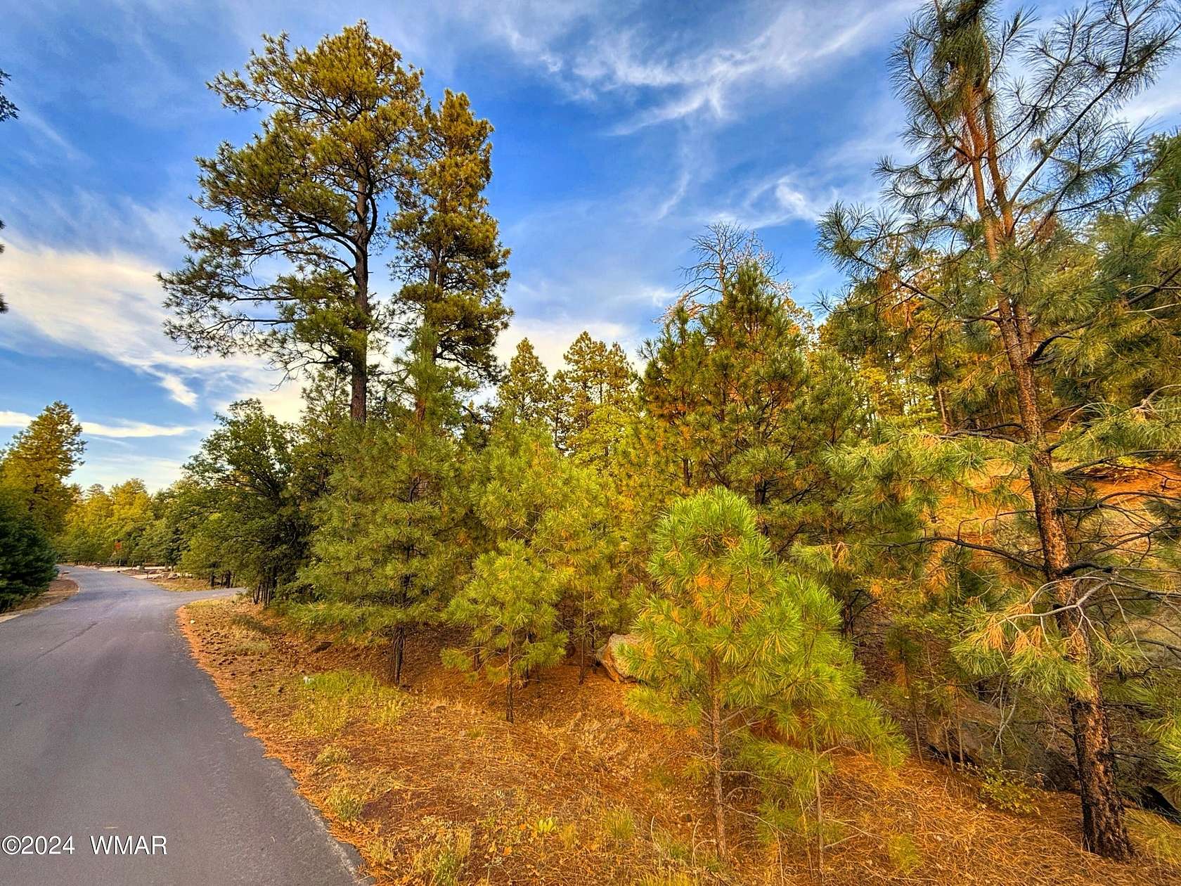 0.6 Acres of Residential Land for Sale in Pinetop, Arizona