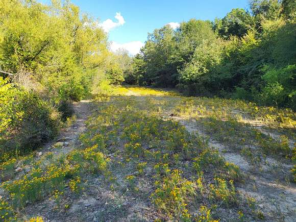 10 Acres of Recreational Land for Sale in Albion, Oklahoma - LandSearch