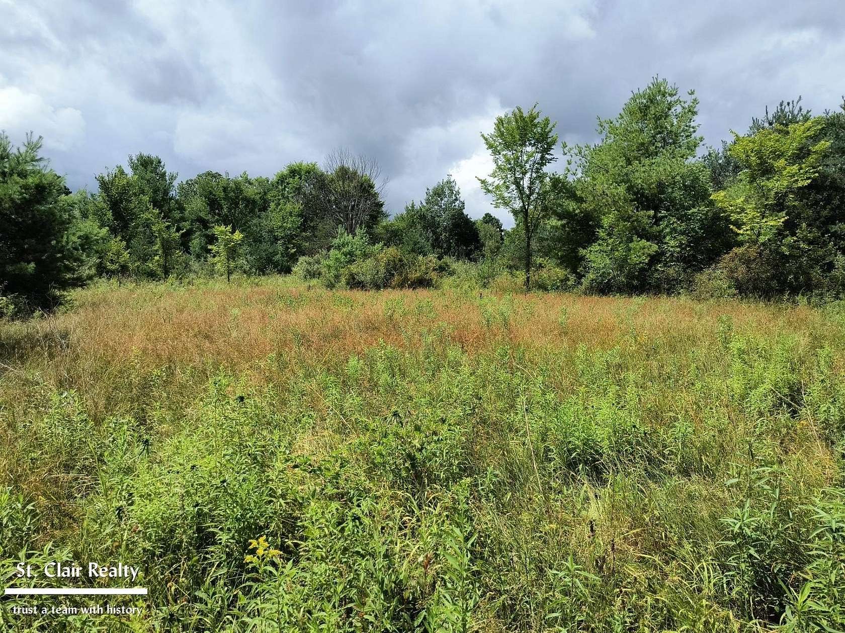 14.97 Acres of Land for Sale in Goodells, Michigan