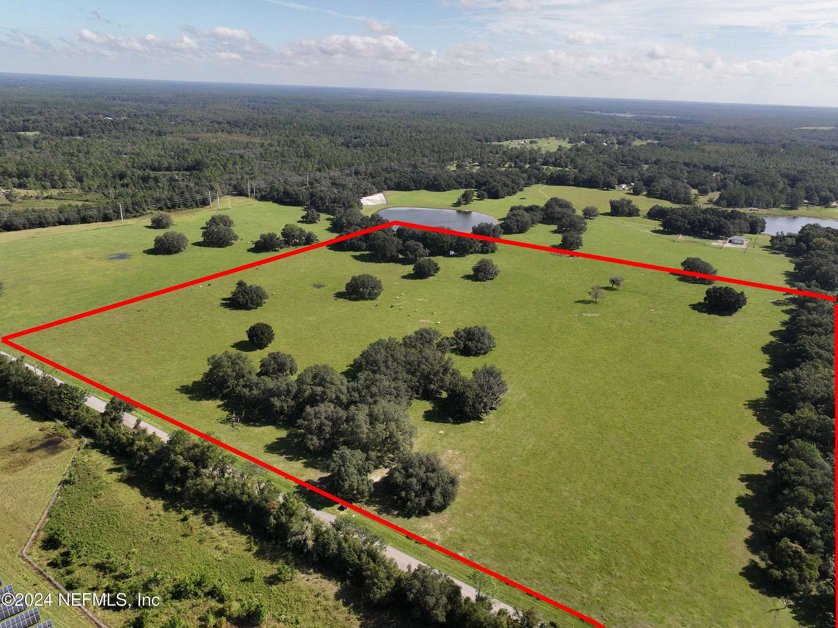 38.23 Acres of Agricultural Land for Sale in Hawthorne, Florida