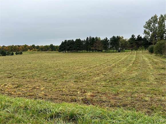 1.08 Acres of Residential Land for Sale in Pamelia Town, New York