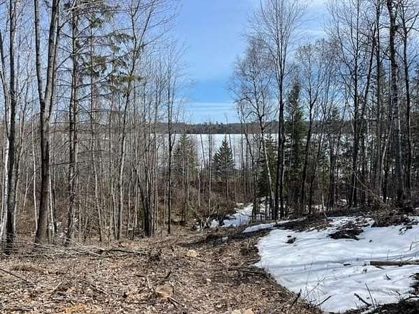 9.5 Acres of Land for Sale in Lake George, Minnesota