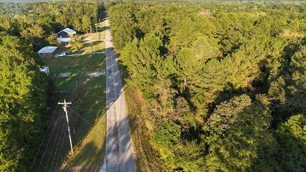 22 Acres of Land for Sale in Skipperville, Alabama