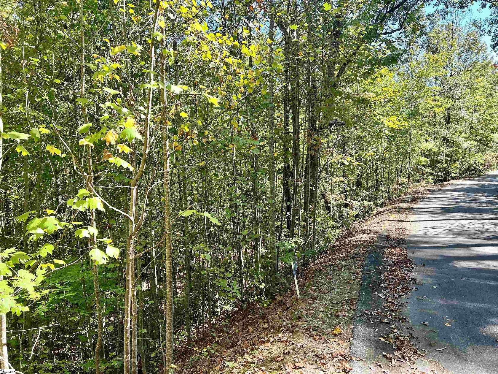 1.33 Acres of Residential Land for Sale in Pickens, South Carolina