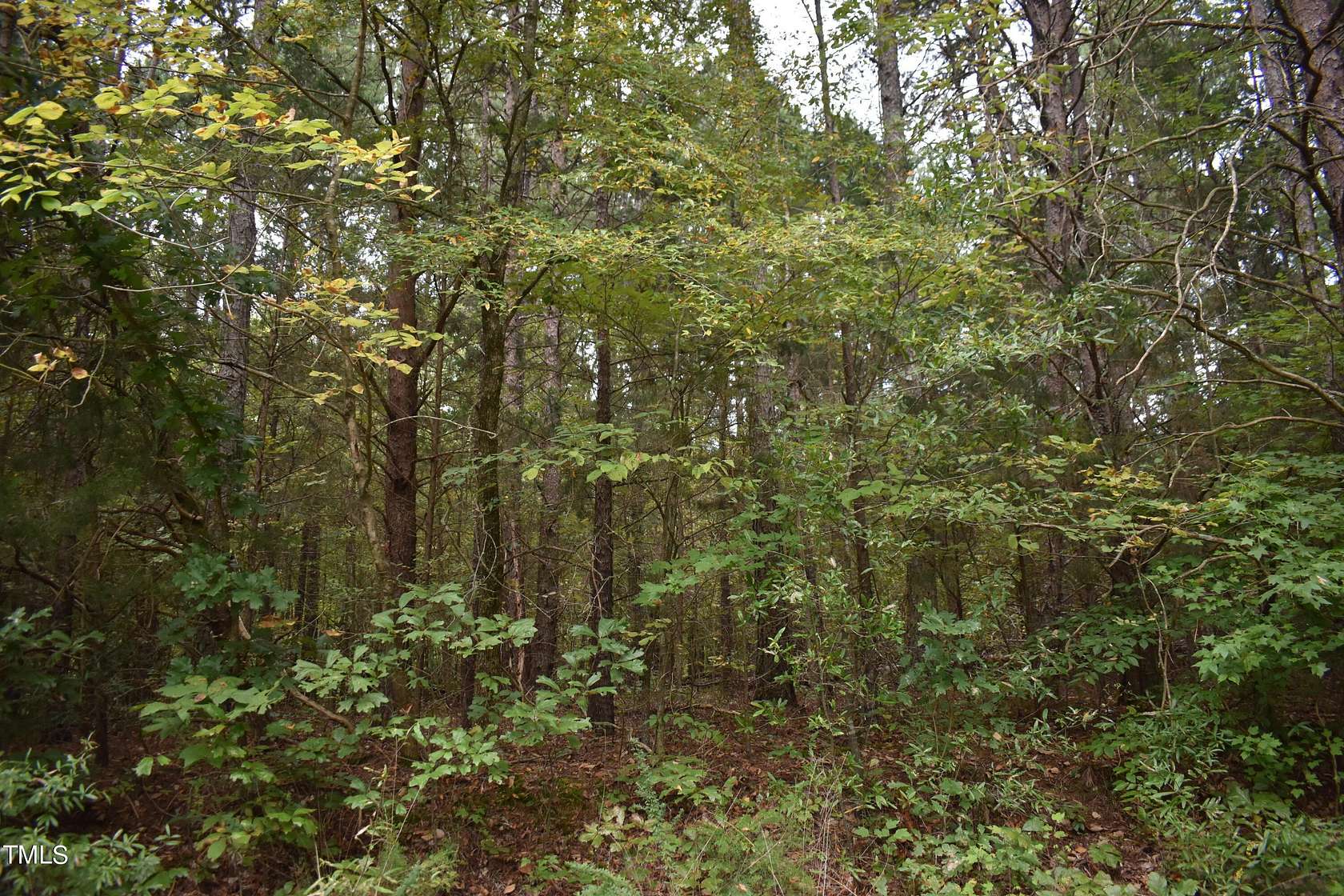 4.91 Acres of Residential Land for Sale in Siler City, North Carolina