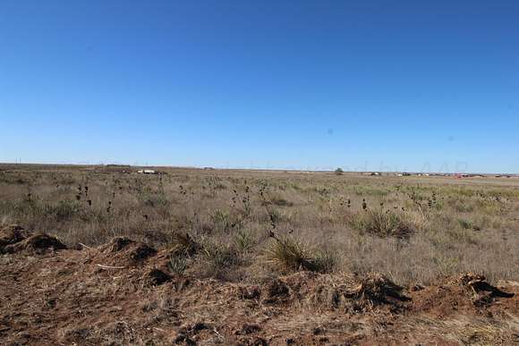 10 Acres of Agricultural Land for Sale in Canyon, Texas