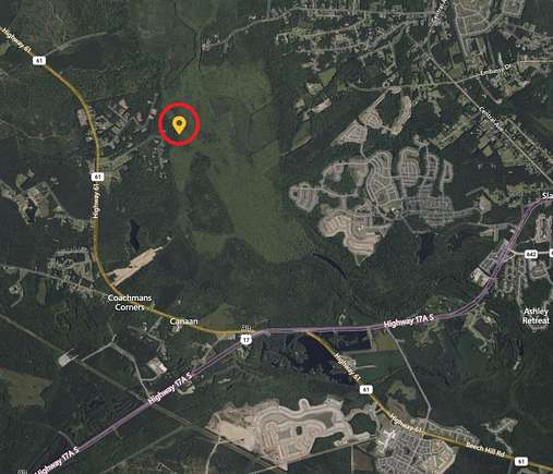 14.41 Acres of Recreational Land for Sale in Ridgeville, South Carolina