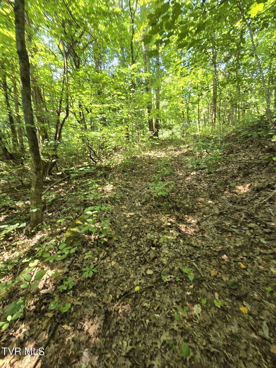 19.77 Acres of Land for Sale in Gray, Tennessee