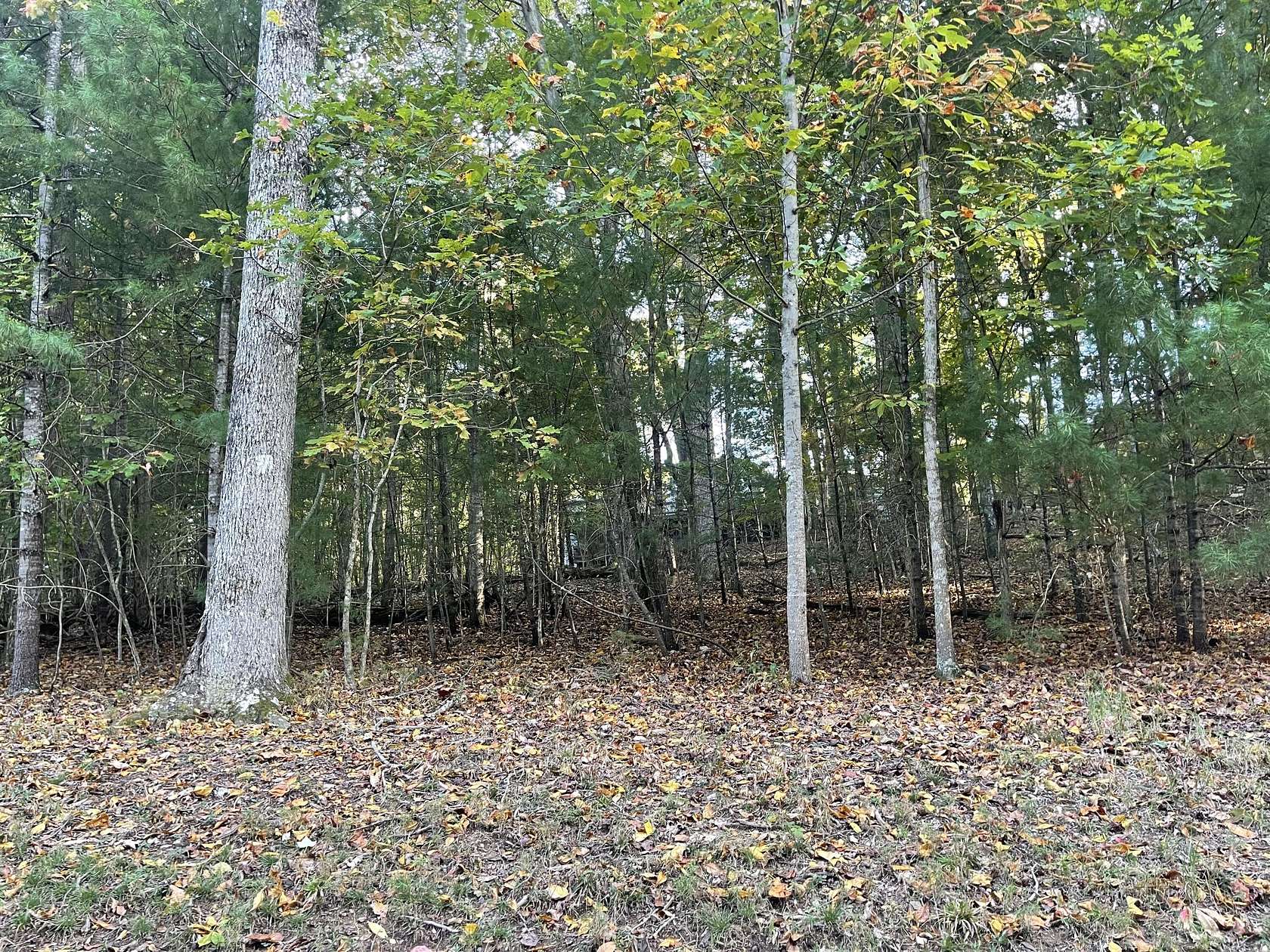 0.36 Acres of Residential Land for Sale in Crossville, Tennessee