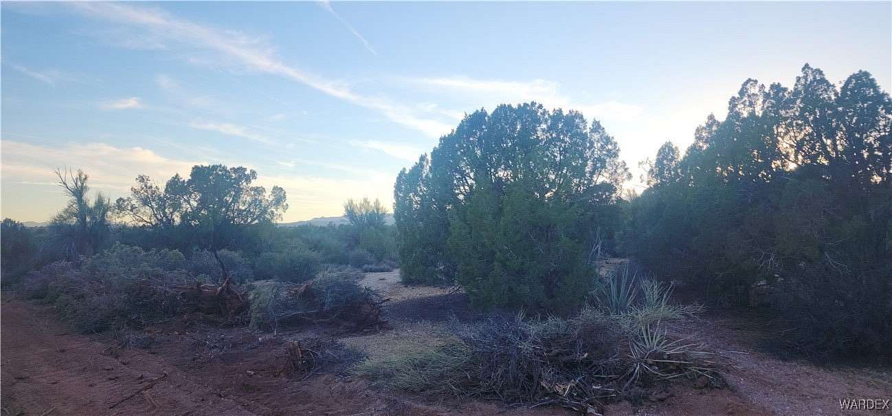 6.91 Acres of Agricultural Land for Sale in Kingman, Arizona