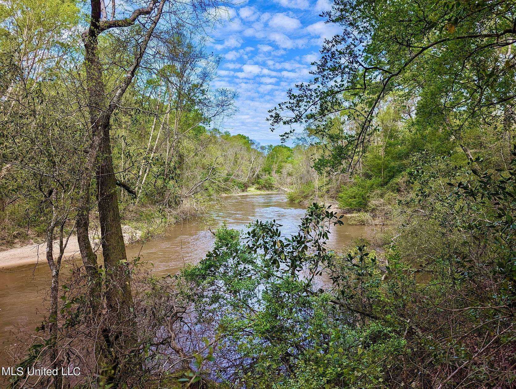 10.72 Acres of Land for Sale in Poplarville, Mississippi