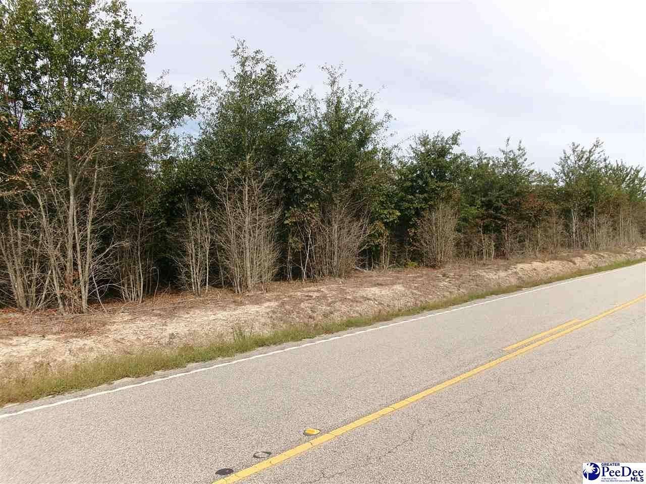 23.91 Acres of Land for Sale in Marion, South Carolina