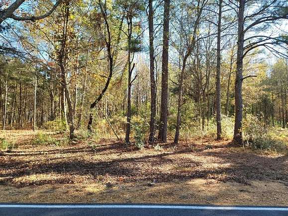 59 Acres of Recreational Land for Sale in Caledonia, Mississippi