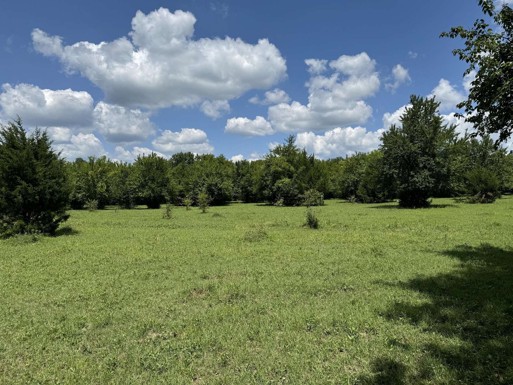 11 Acres of Land for Sale in Prairie, Mississippi