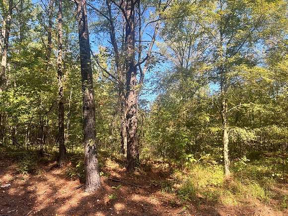 2 Acres of Residential Land for Sale in Sardis, Mississippi