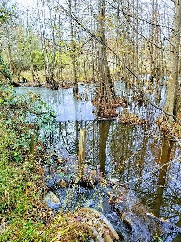 150.45 Acres of Recreational Land for Sale in Jackson, South Carolina