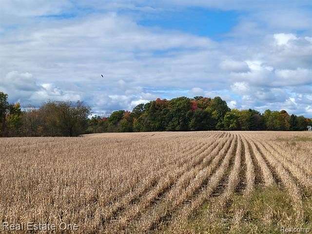 16 Acres of Land for Sale in Imlay City, Michigan