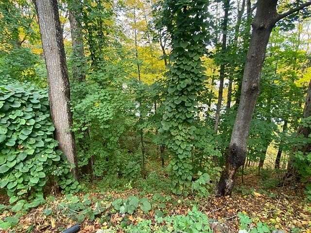 4.03 Acres of Residential Land for Sale in Cavendish, Vermont