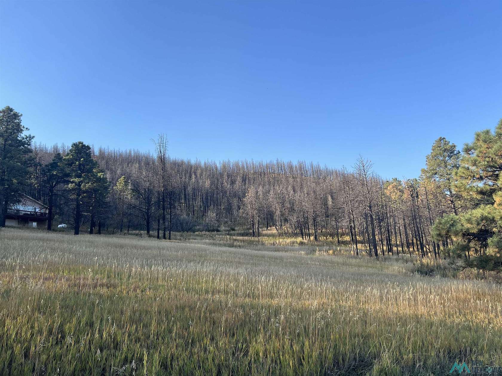 0.41 Acres of Land for Sale in Rociada, New Mexico