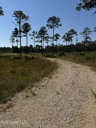 2 Acres of Residential Land for Sale in Vancleave, Mississippi