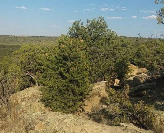 2.06 Acres of Residential Land for Sale in Concho, Arizona