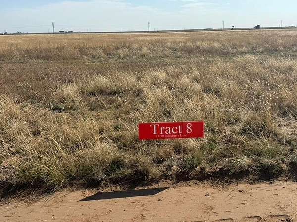 11 Acres of Land for Sale in Hartley, Texas