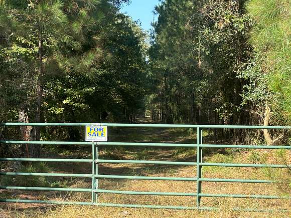 10 Acres of Agricultural Land for Sale in Pineland, South Carolina