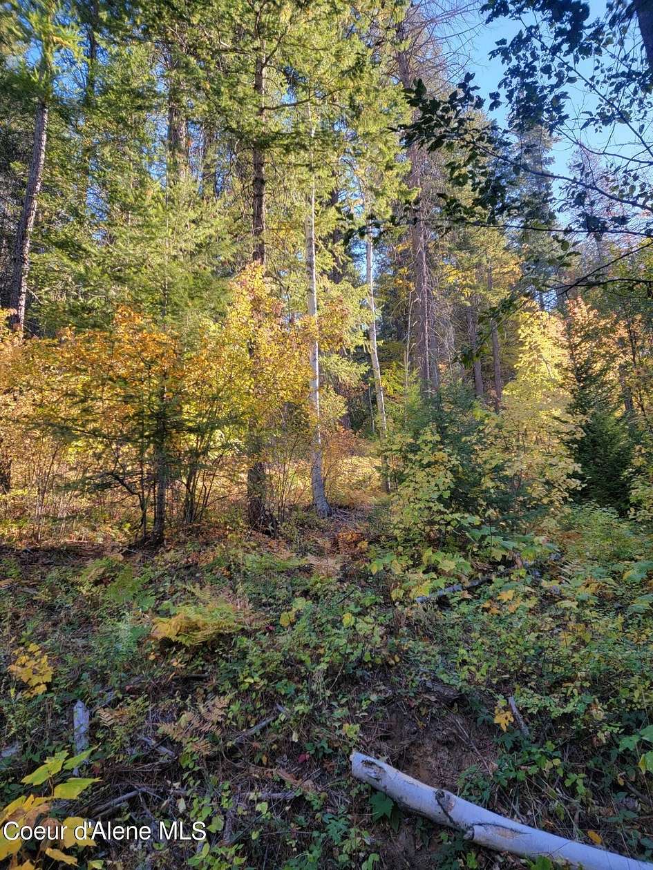 11.54 Acres of Recreational Land for Sale in Sagle, Idaho