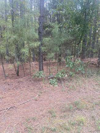 0.57 Acres of Residential Land for Sale in Hot Springs Village, Arkansas