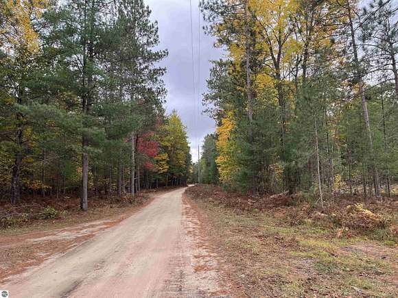 5.64 Acres of Land for Sale in South Boardman, Michigan