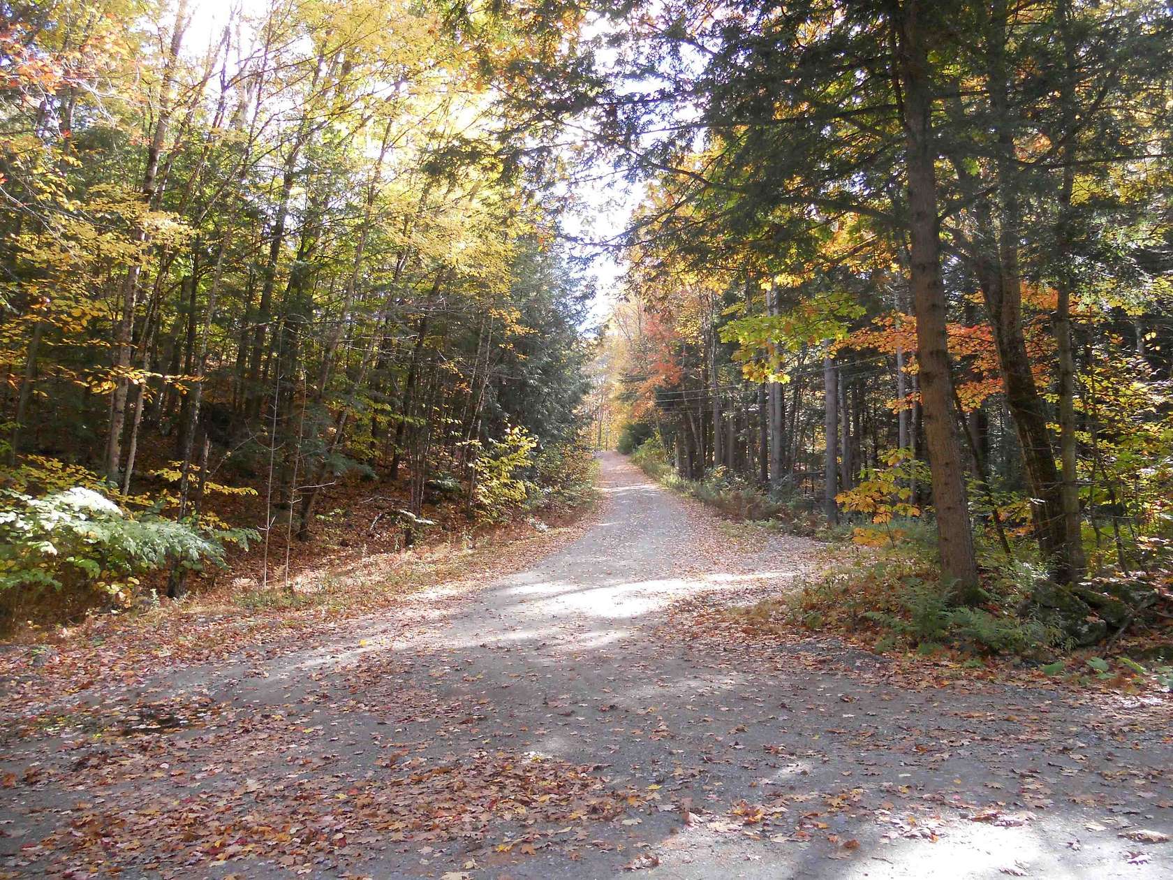 83.96 Acres of Land for Sale in Charlestown, New Hampshire