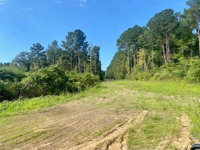 51 Acres of Recreational Land for Sale in McComb, Mississippi