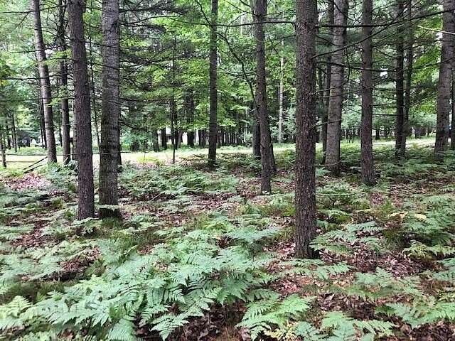 0.51 Acres of Land for Sale in Canadian Lakes, Michigan