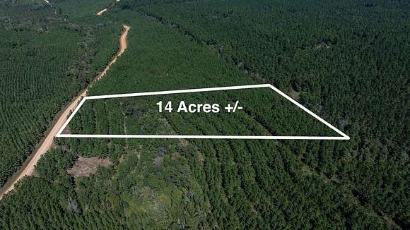 14 Acres of Recreational Land for Sale in Nacogdoches, Texas