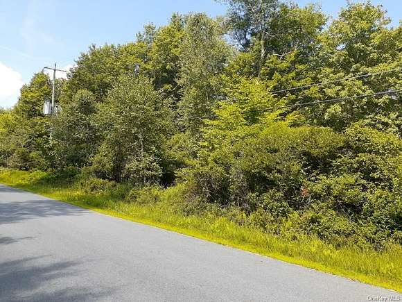 102.1 Acres of Land for Sale in Livingston Manor, New York